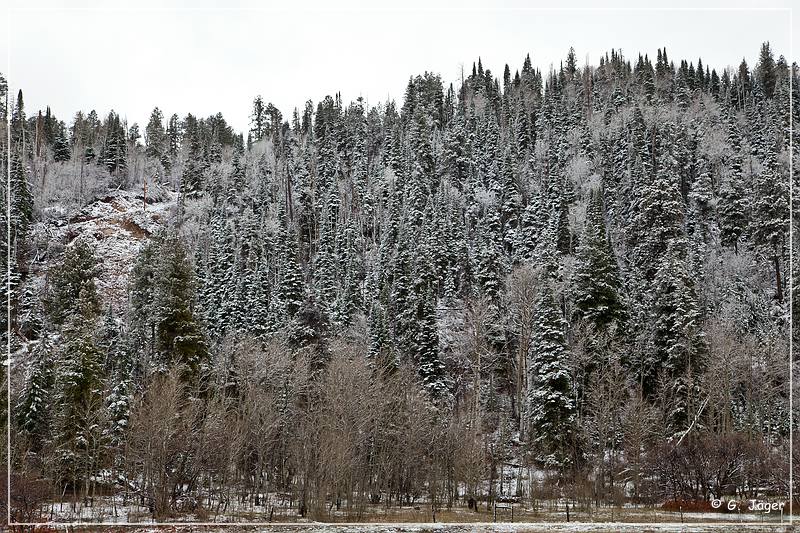 chuska_mountains_winter_05.jpg