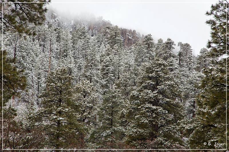 chuska_mountains_winter_09.jpg