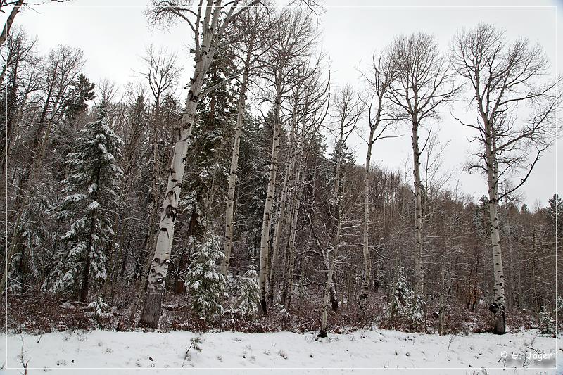 chuska_mountains_winter_12.jpg