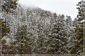 chuska_mountains_winter_09