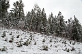 chuska_mountains_winter_11