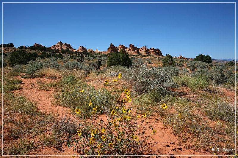 cottonwood_teppees_01.jpg