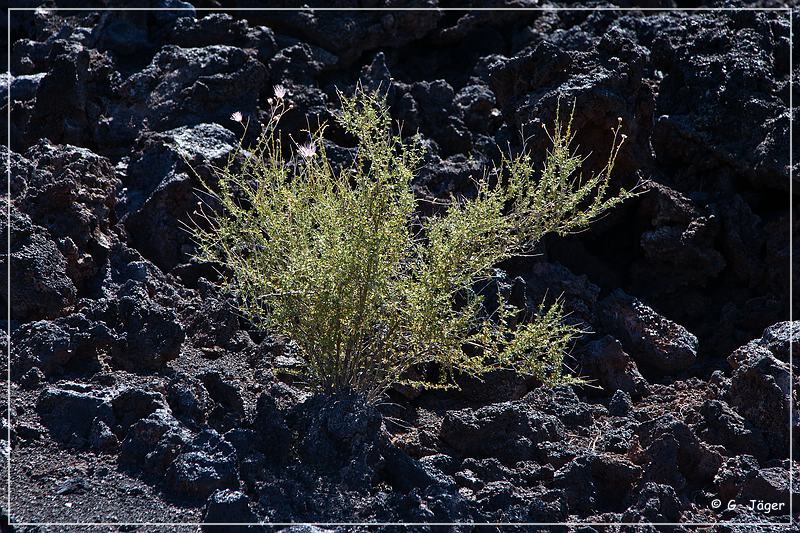 sunset Crater_nm_15.jpg