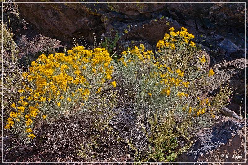 sunset Crater_nm_17.jpg