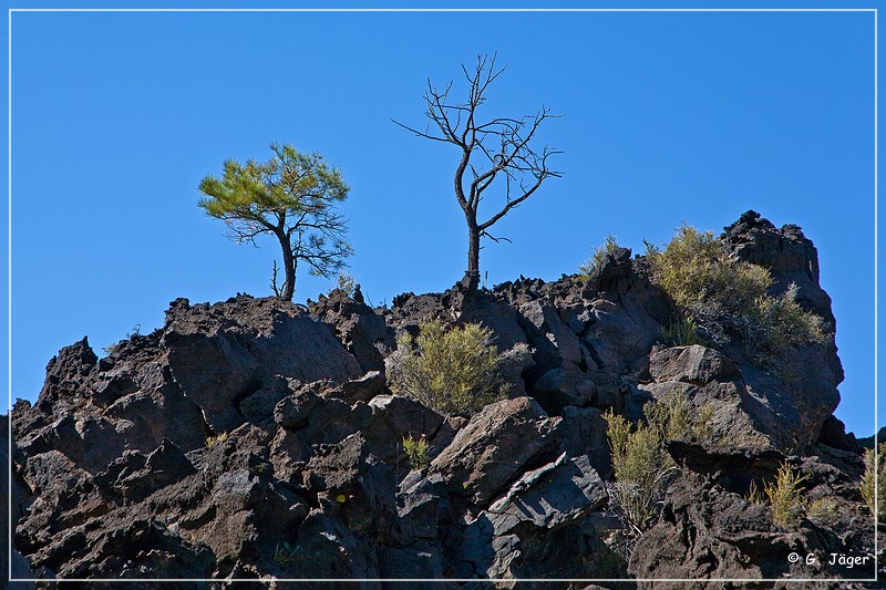 sunset Crater_nm_19.jpg