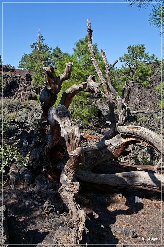 sunset Crater_nm_21.jpg