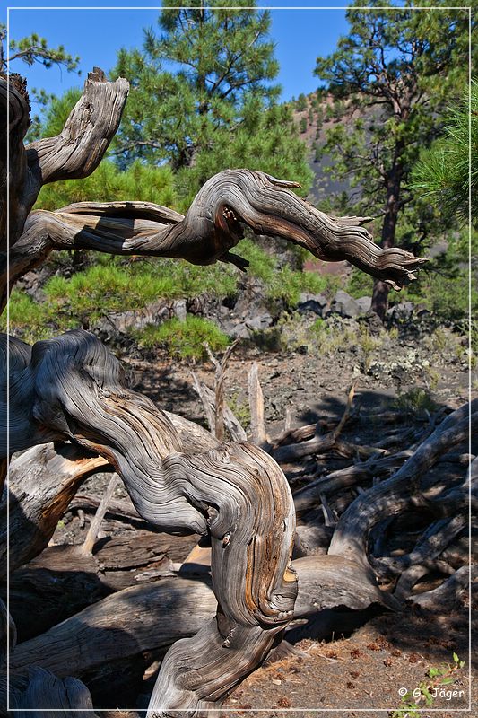 sunset Crater_nm_22.jpg