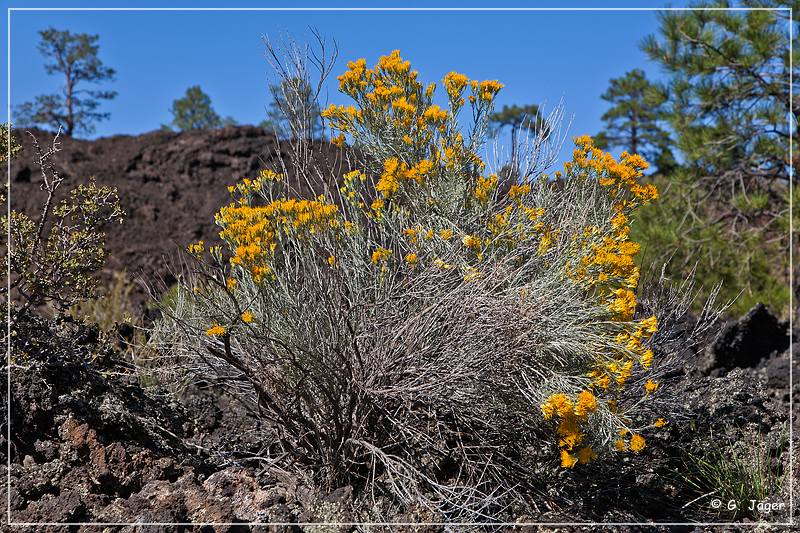 sunset Crater_nm_24.jpg