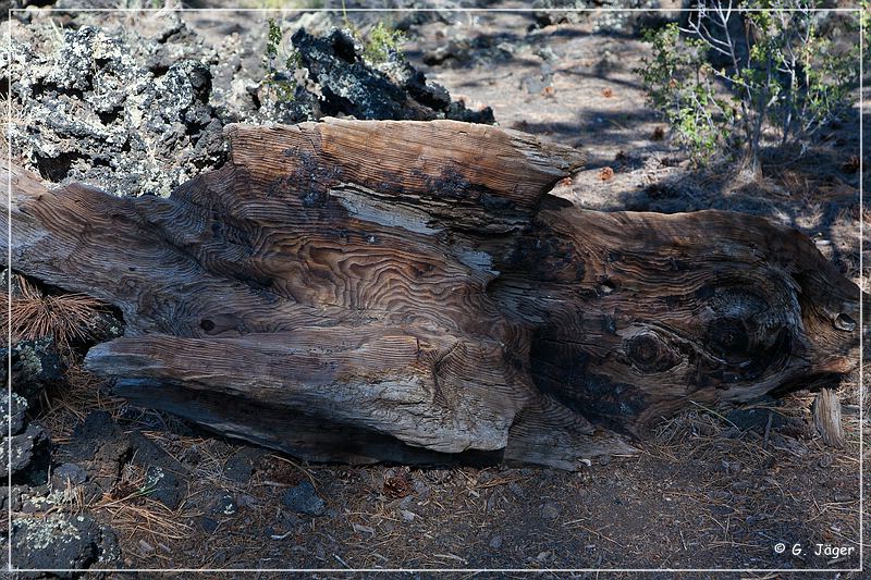 sunset Crater_nm_25.jpg