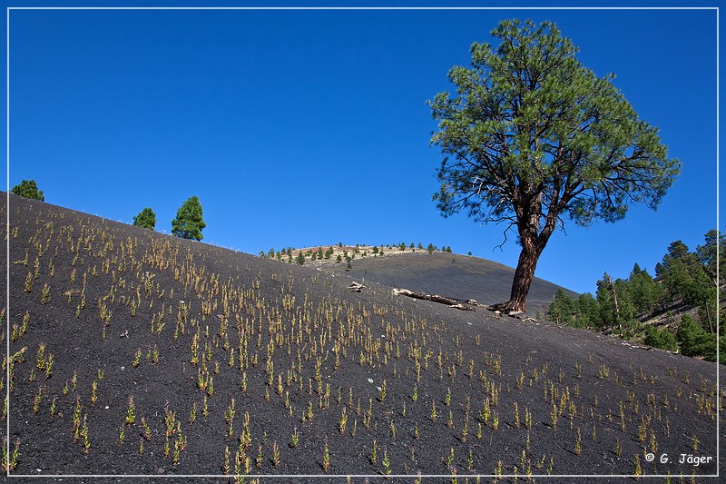 sunset Crater_nm_26.jpg