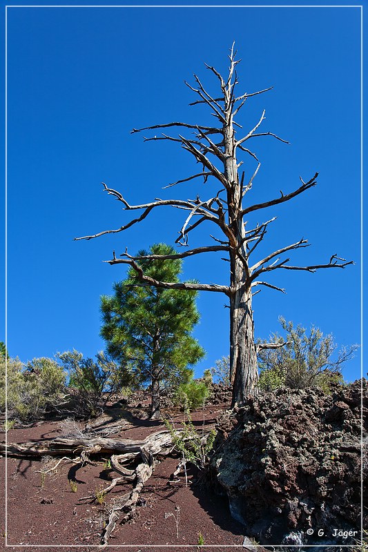 sunset Crater_nm_28.jpg