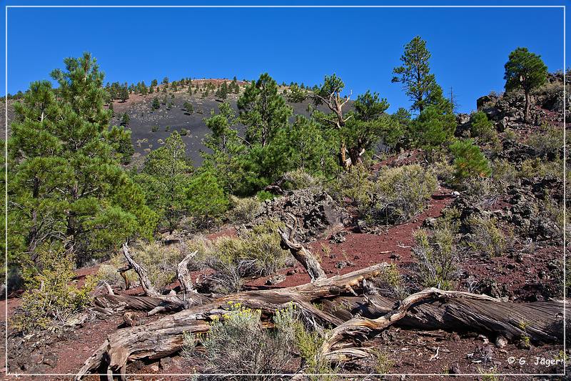 sunset Crater_nm_30.jpg