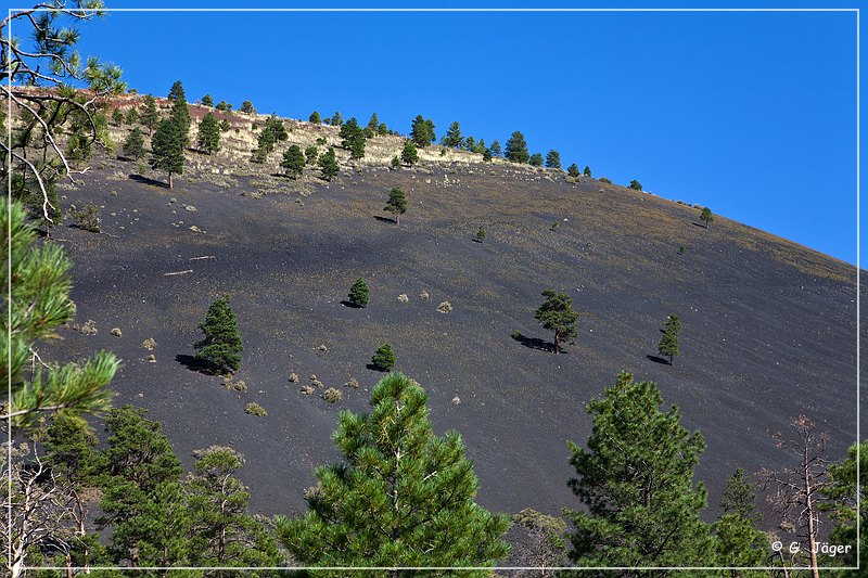 sunset Crater_nm_32.jpg