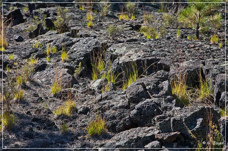 sunset Crater_nm_35.jpg