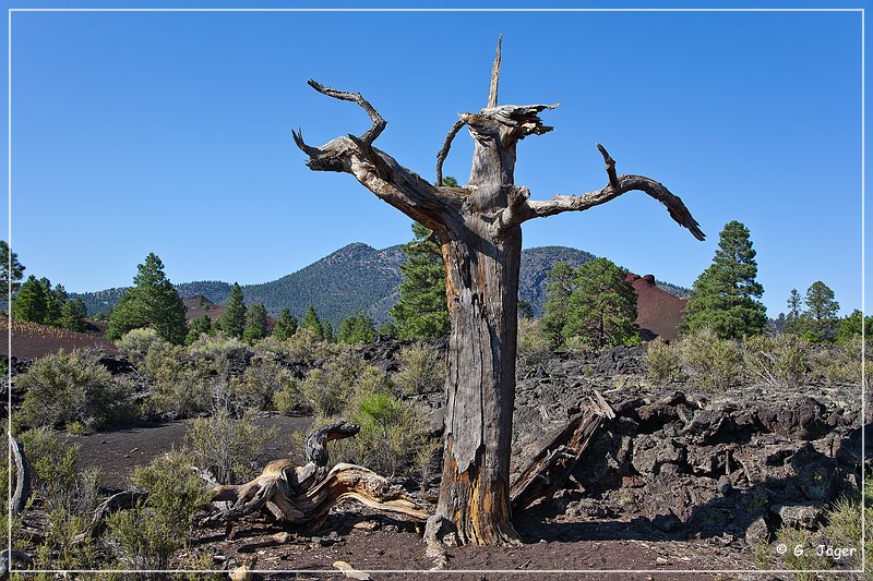 sunset Crater_nm_38.jpg