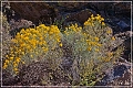 sunset Crater_nm_17