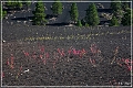 sunset Crater_nm_40