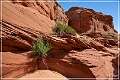 waterholes_canyon_02