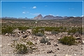 oatman_hwy_02