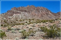 oatman_hwy_07