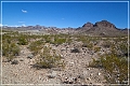 oatman_hwy_11