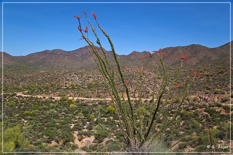 apache_trail_2015_68.jpg