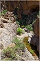 apache_trail_2015_54