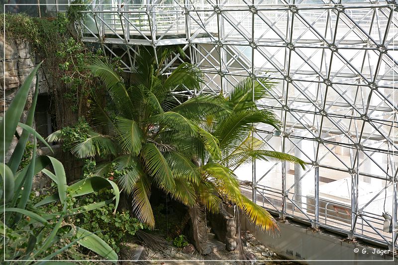 biosphere_one_12.jpg