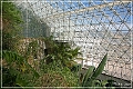 biosphere_one_11