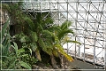 biosphere_one_12