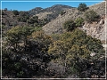 box_canyon_road_37