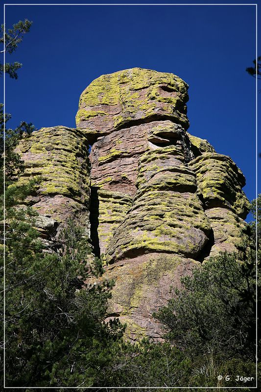 chiricahua_nm_2006_05.jpg