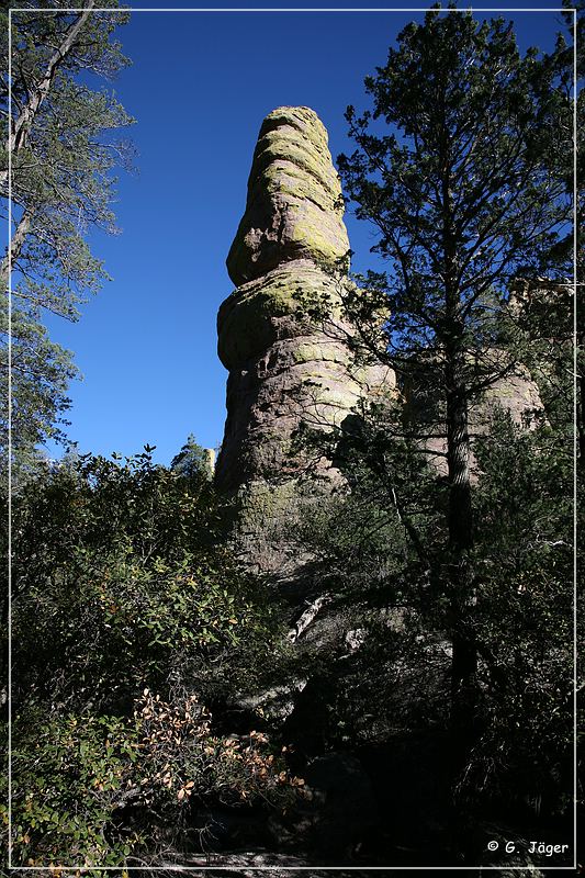 chiricahua_nm_2006_06.jpg