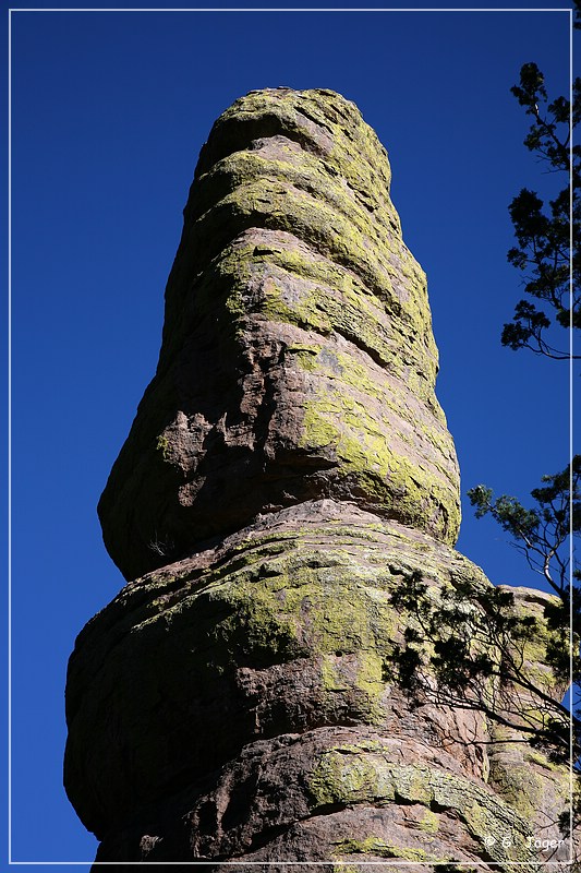 chiricahua_nm_2006_07.jpg