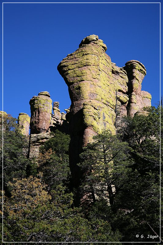 chiricahua_nm_2006_09.jpg