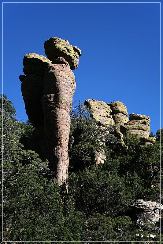 chiricahua_nm_2006_10.jpg