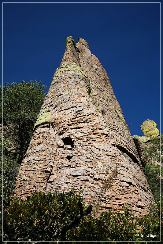 chiricahua_nm_2006_13.jpg