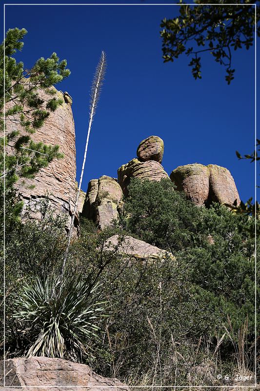 chiricahua_nm_2006_14.jpg