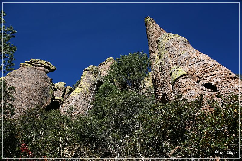 chiricahua_nm_2006_15.jpg