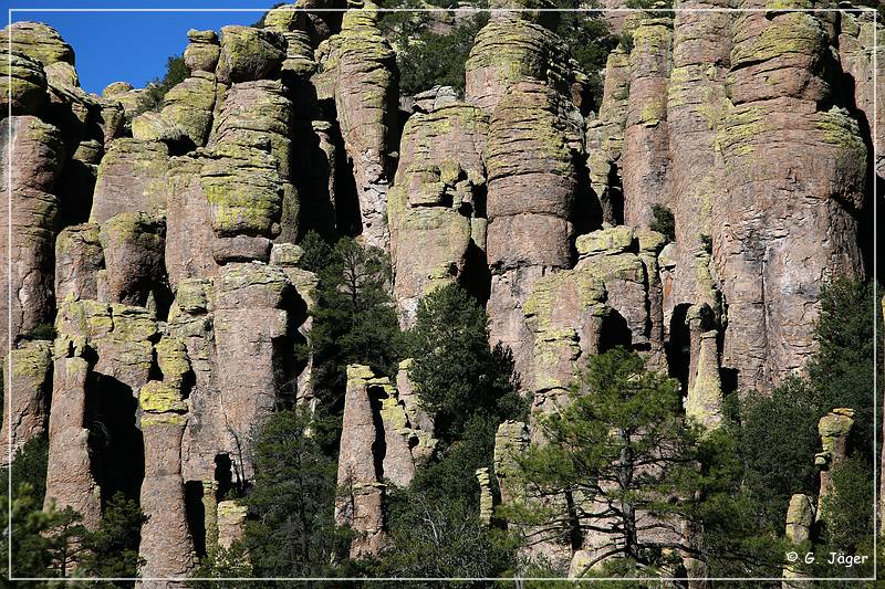 chiricahua_nm_2006_17.jpg