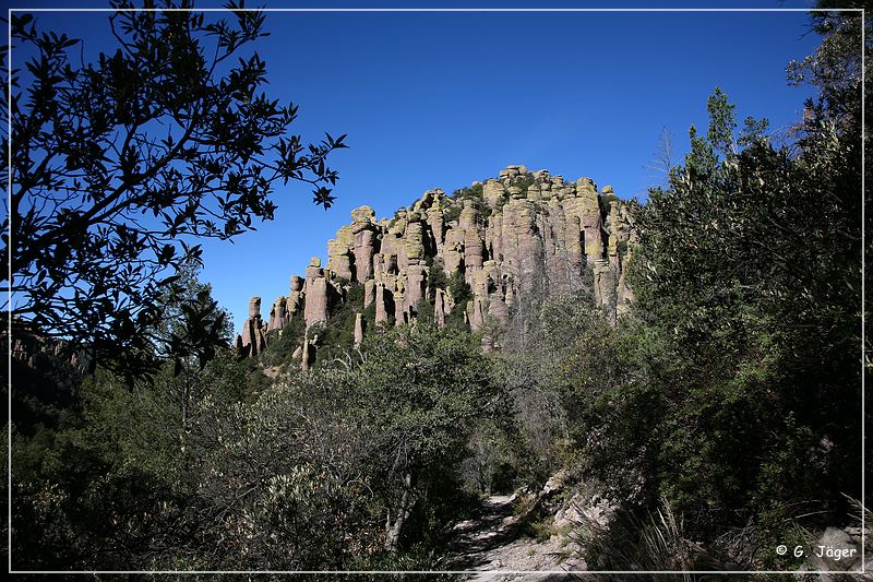 chiricahua_nm_2006_18.jpg