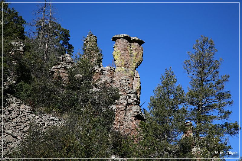 chiricahua_nm_2006_19.jpg