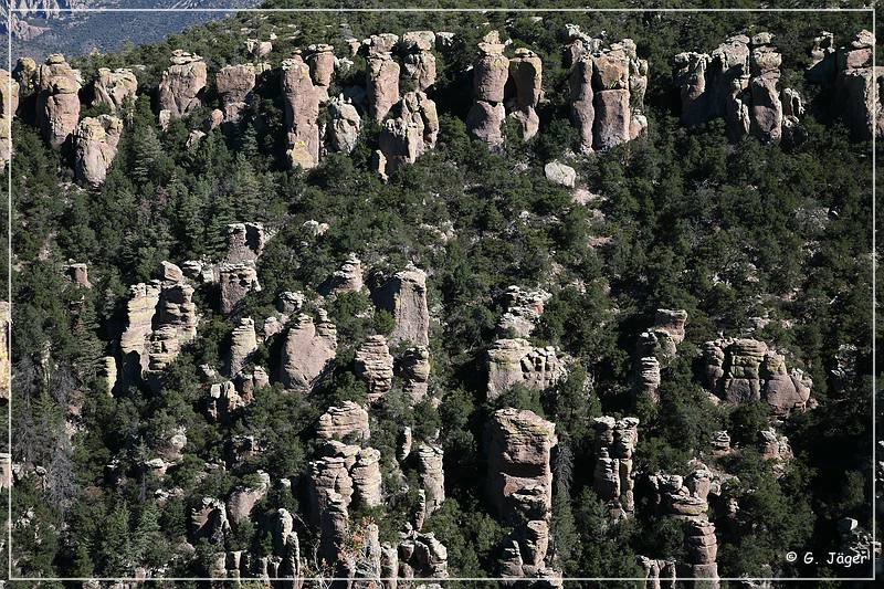 chiricahua_nm_2006_22.jpg