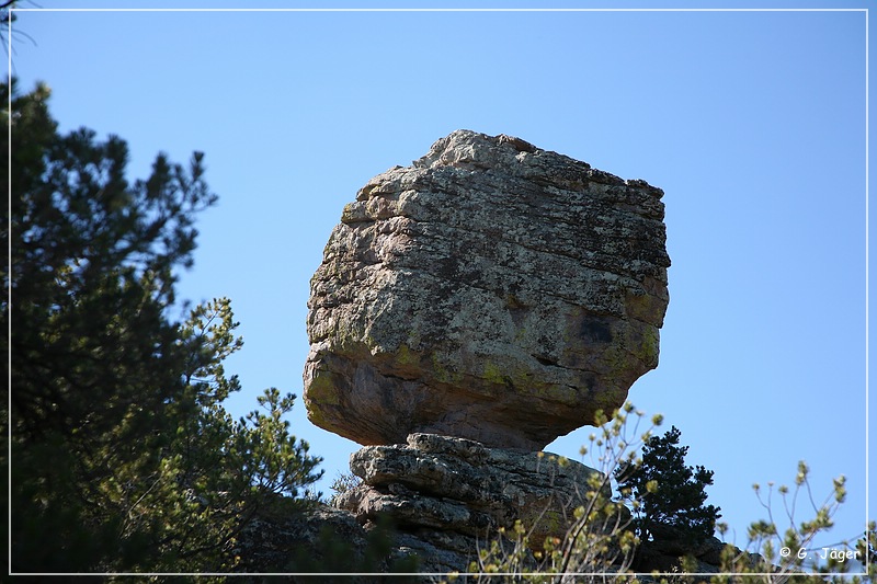 chiricahua_nm_2006_27.jpg