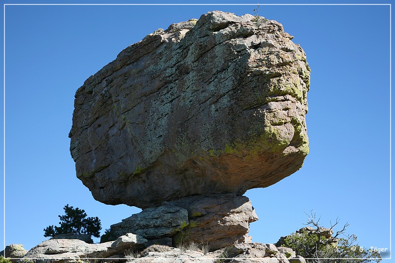 chiricahua_nm_2006_29.jpg