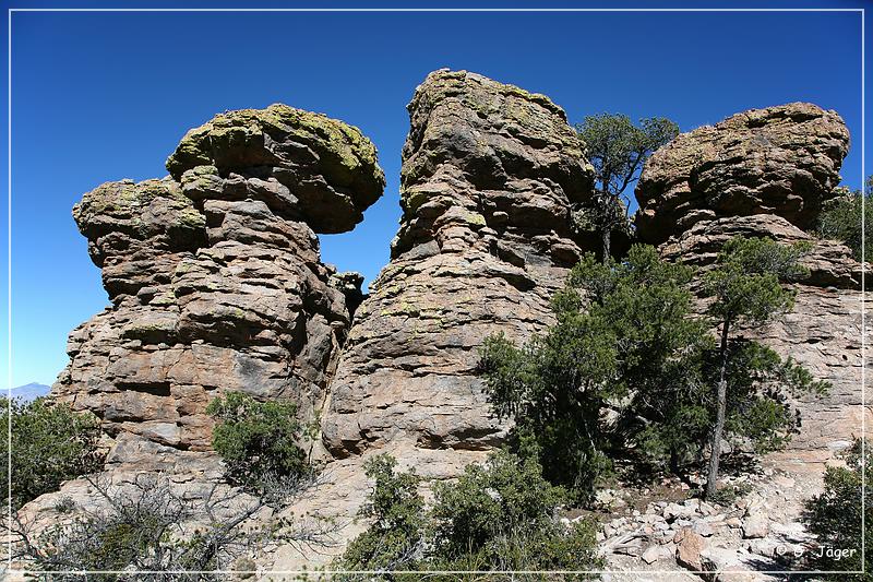 chiricahua_nm_2006_30.jpg