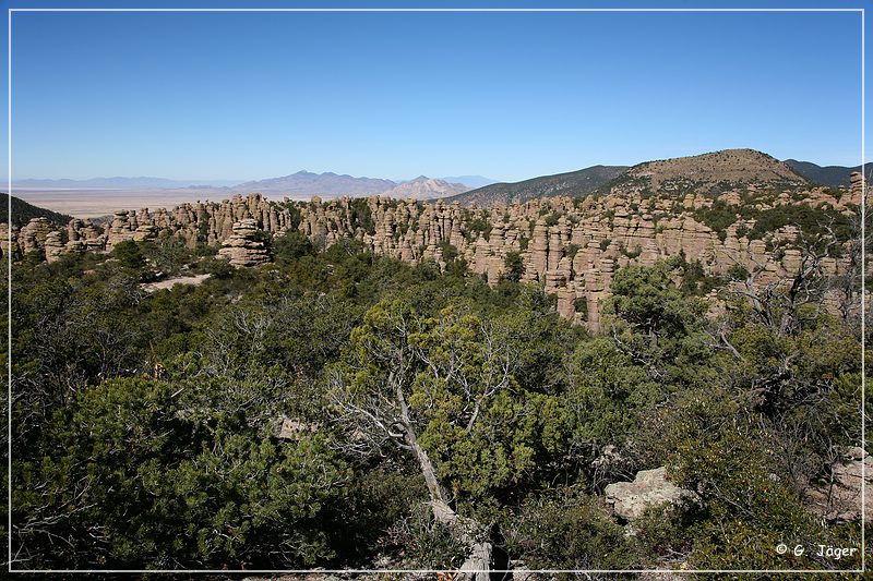 chiricahua_nm_2006_31.jpg