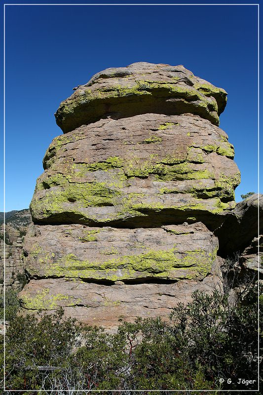 chiricahua_nm_2006_34.jpg