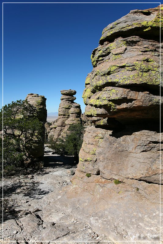 chiricahua_nm_2006_35.jpg