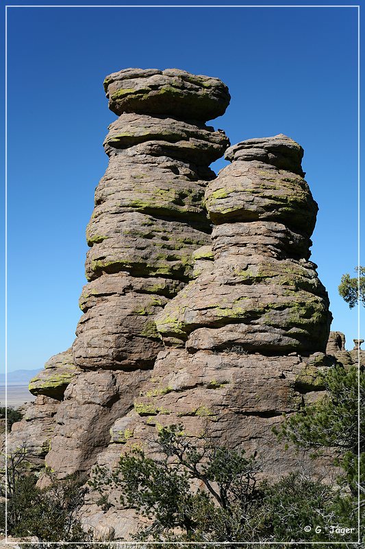 chiricahua_nm_2006_36.jpg